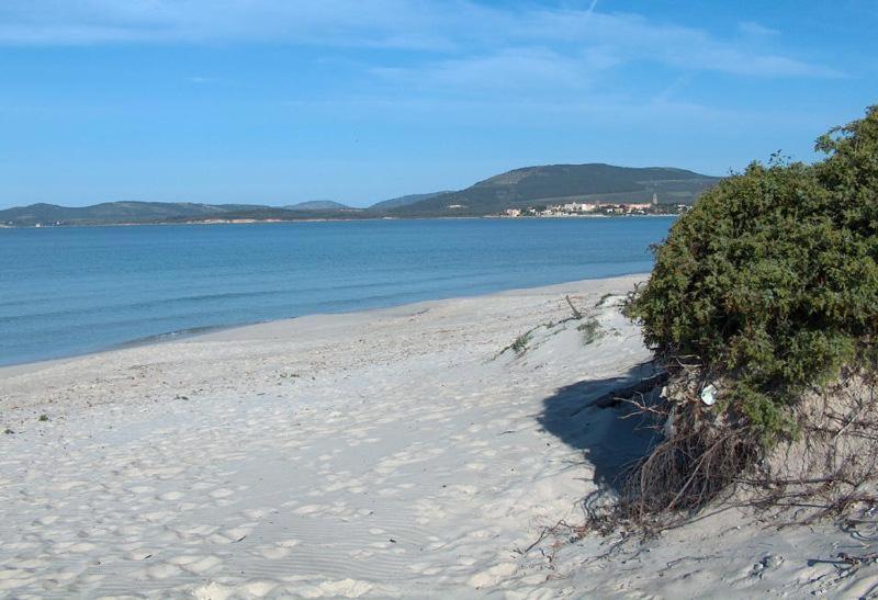 Appartamento A Pochi Passi Dalla Spiaggia 알게로 외부 사진