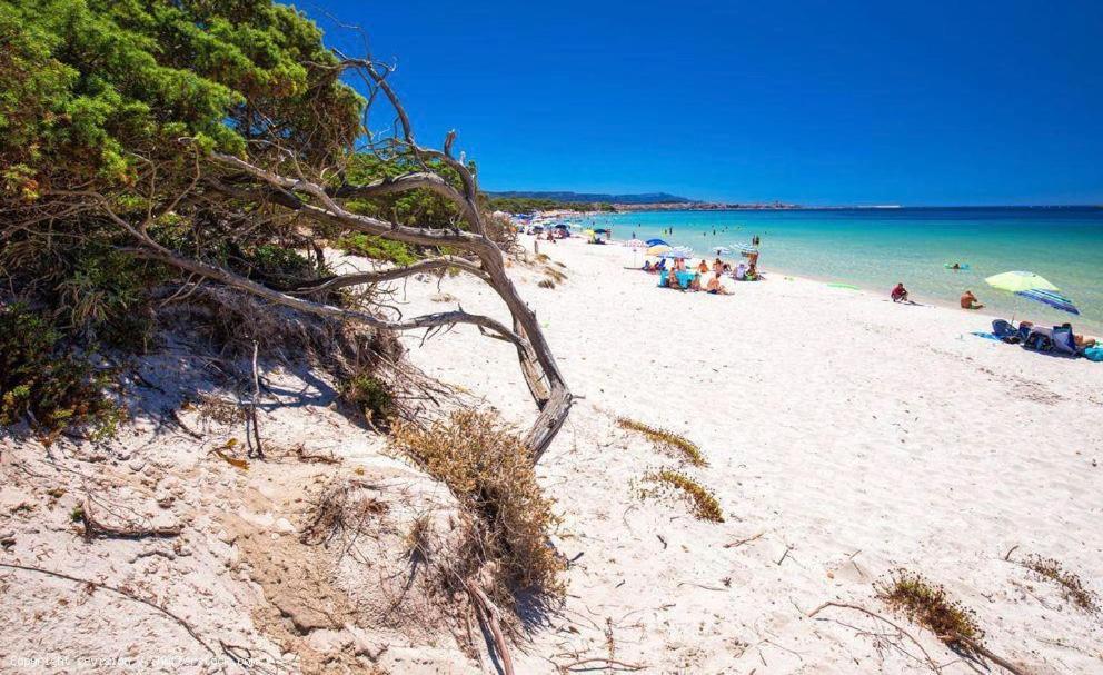 Appartamento A Pochi Passi Dalla Spiaggia 알게로 외부 사진